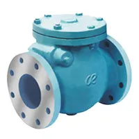 Swing Check Valve -Industrial Swing Check Valves Manufacturer In India