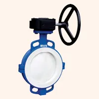 Butterfly Valve Supplier in Morigaon