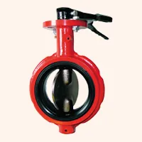 Butterfly Valve from Washim
