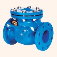 Check Valve from Hamirpur