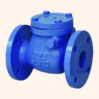 Swing Check Valves in Kanpur