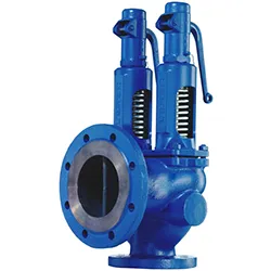 Oil & Gas Safety Valve